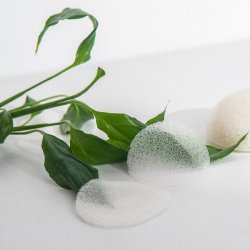 Mohani Płatki kosmetyczne konjac