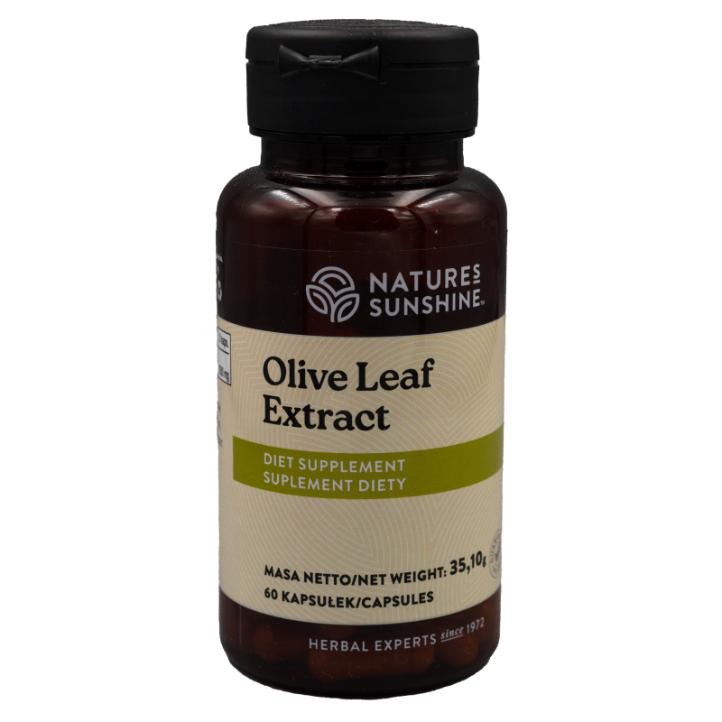 Liść oliwny ekstrakt 60kapsułek Nature's Sunshine 