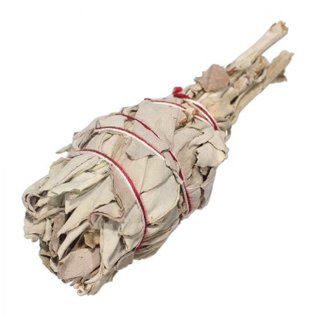 Biała szałwia pęczek